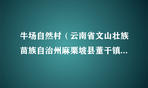 牛场自然村（云南省文山壮族苗族自治州麻栗坡县董干镇永利村委会辖自然村）