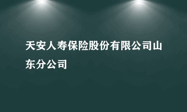 天安人寿保险股份有限公司山东分公司