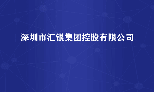 深圳市汇银集团控股有限公司