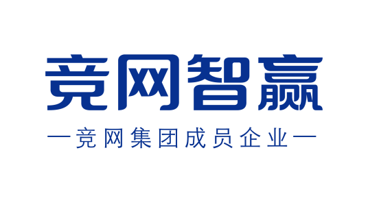 湖南竞网智赢网络技术有限公司