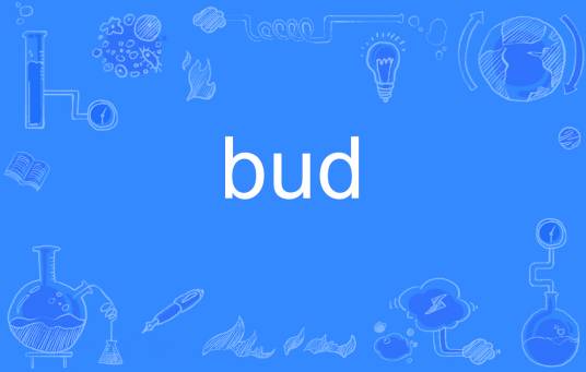 bud（英语单词）