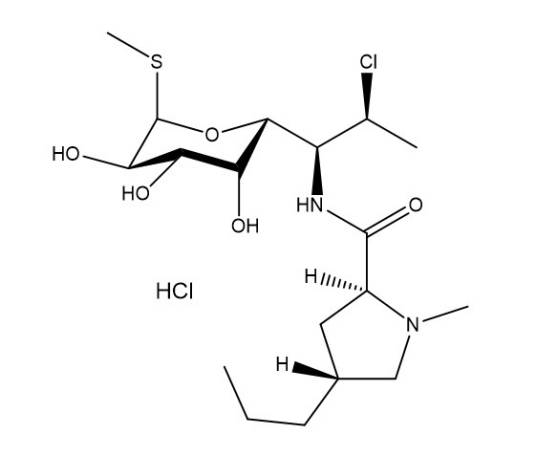 盐酸克林霉素