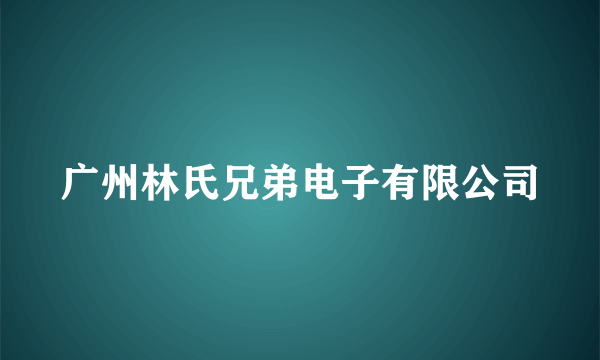 广州林氏兄弟电子有限公司