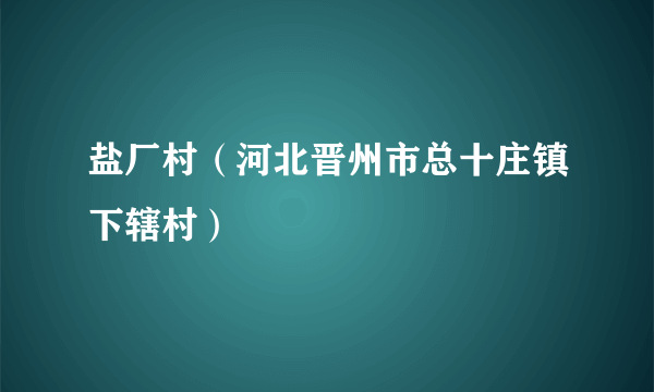 盐厂村（河北晋州市总十庄镇下辖村）