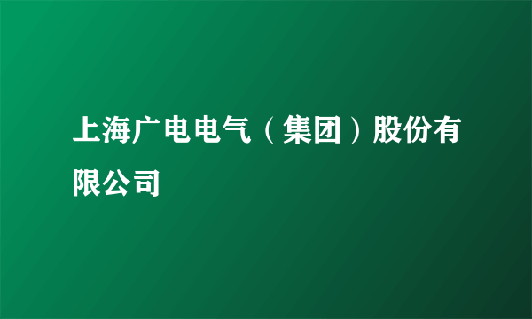 上海广电电气（集团）股份有限公司