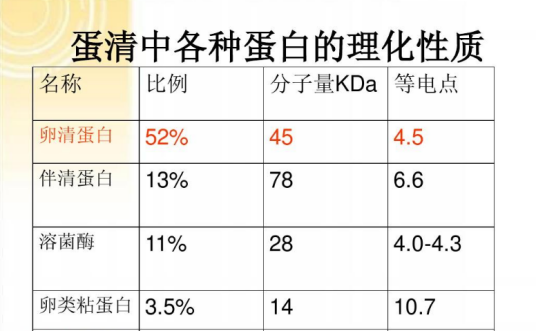 白蛋白球蛋白比值