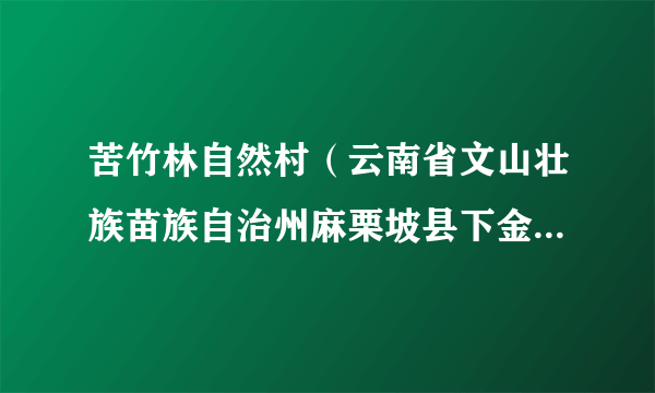 苦竹林自然村（云南省文山壮族苗族自治州麻栗坡县下金厂乡大火地村辖自然村）