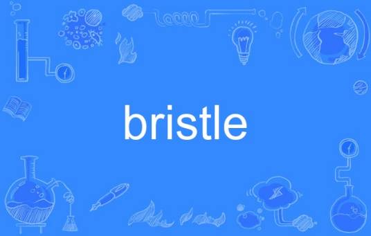 bristle（英语单词）