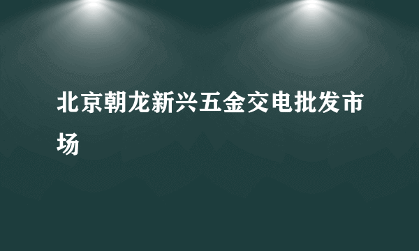 北京朝龙新兴五金交电批发市场