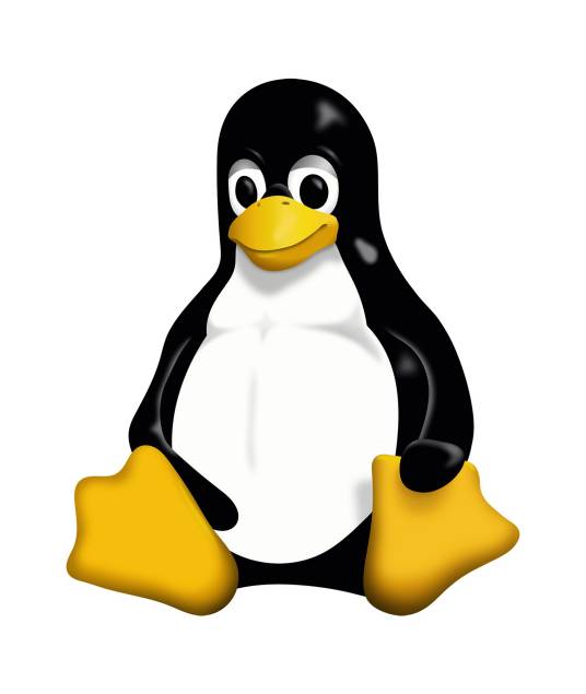 Linux