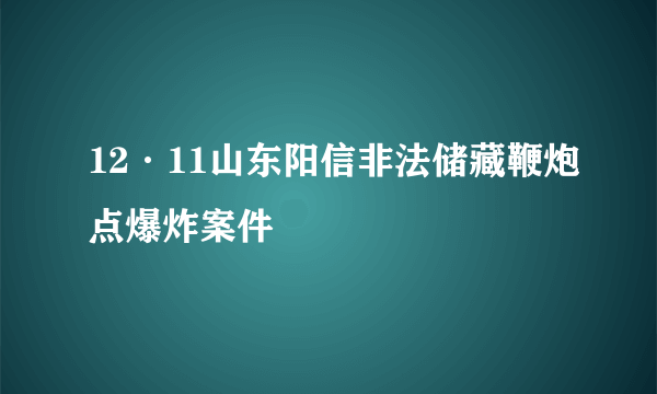 12·11山东阳信非法储藏鞭炮点爆炸案件