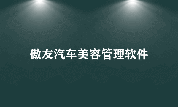 傲友汽车美容管理软件