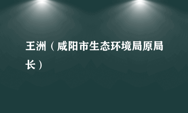 王洲（咸阳市生态环境局原局长）