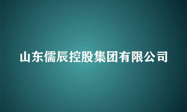 山东儒辰控股集团有限公司