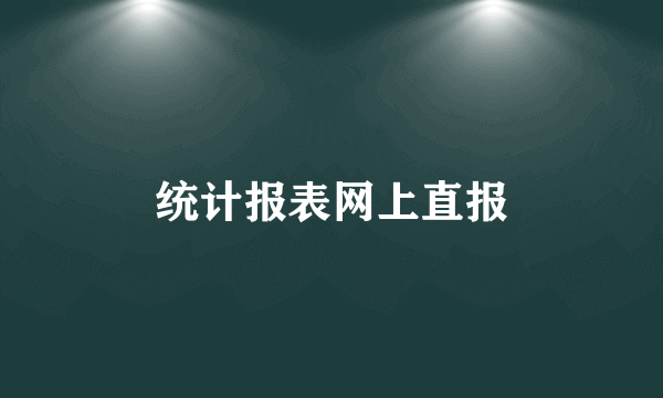 统计报表网上直报