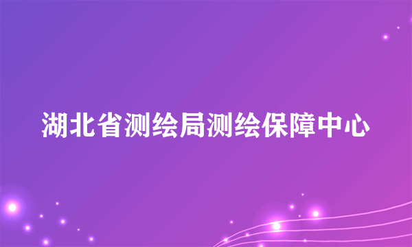 湖北省测绘局测绘保障中心