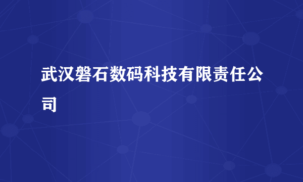 武汉磐石数码科技有限责任公司