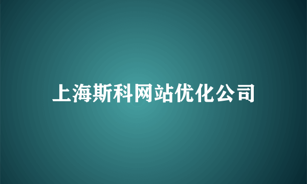 上海斯科网站优化公司