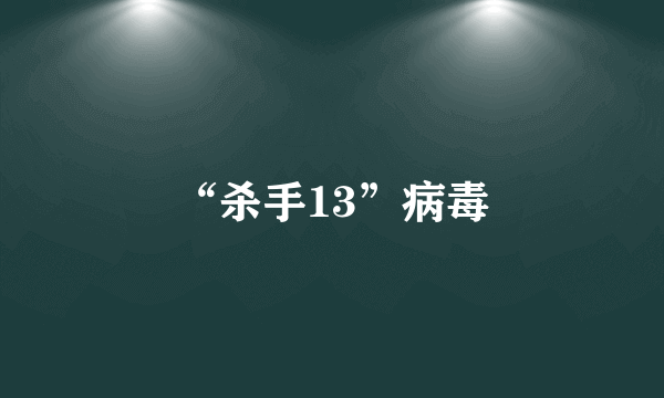 “杀手13”病毒