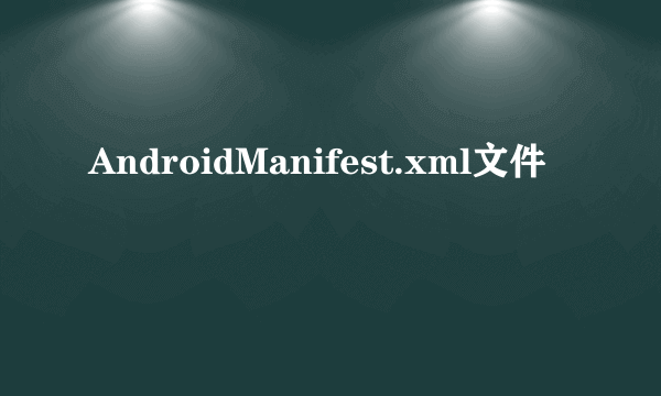 AndroidManifest.xml文件