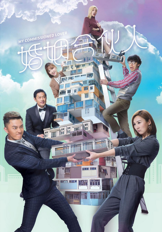 婚姻合伙人（2019年杨明、高海宁主演的电视剧）