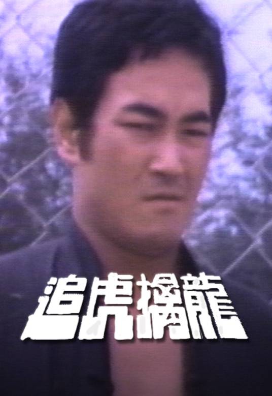 追虎擒龙（1977年刘丹主演的电视剧）