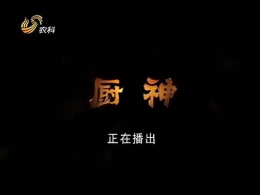 厨神（关慧卿主演电影）