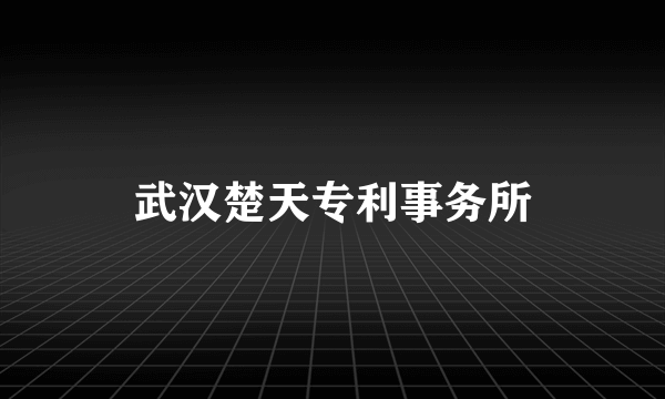 武汉楚天专利事务所