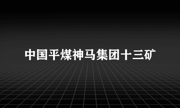 中国平煤神马集团十三矿