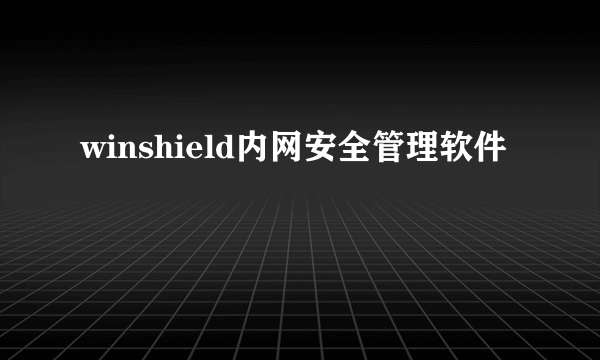 winshield内网安全管理软件