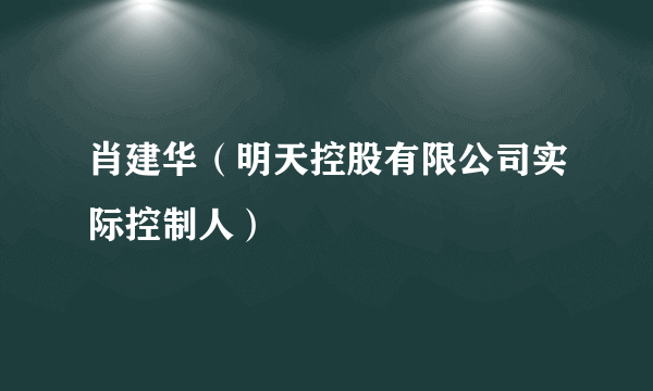 肖建华（明天控股有限公司实际控制人）