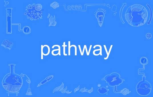 pathway