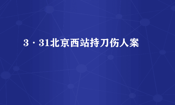 3·31北京西站持刀伤人案