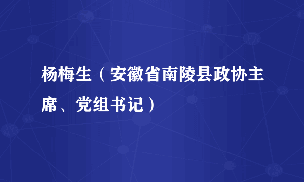 杨梅生（安徽省南陵县政协主席、党组书记）