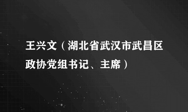 王兴文（湖北省武汉市武昌区政协党组书记、主席）