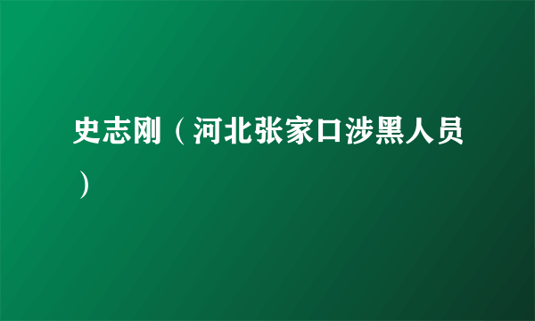 史志刚（河北张家口涉黑人员）