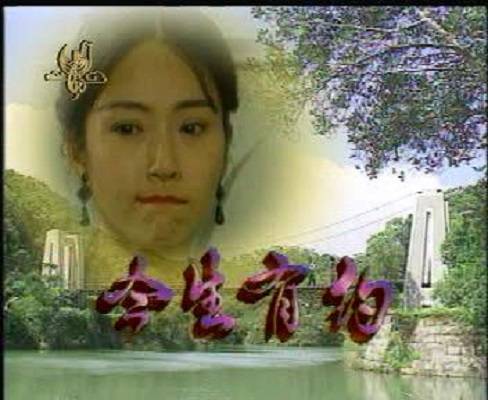 今生有约（1995年冯海导演台湾电视剧）