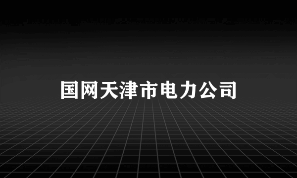 国网天津市电力公司