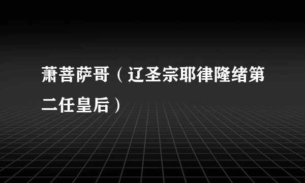 萧菩萨哥（辽圣宗耶律隆绪第二任皇后）