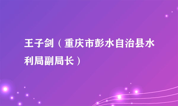 王子剑（重庆市彭水自治县水利局副局长）