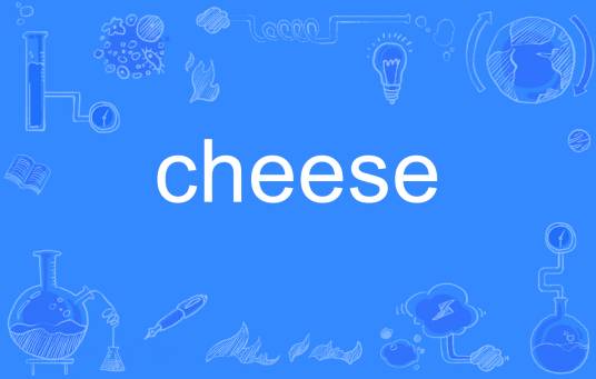 cheese（英文单词）