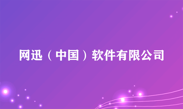 网迅（中国）软件有限公司