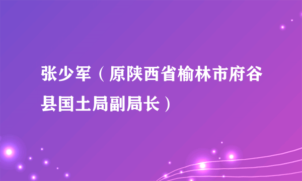 张少军（原陕西省榆林市府谷县国土局副局长）