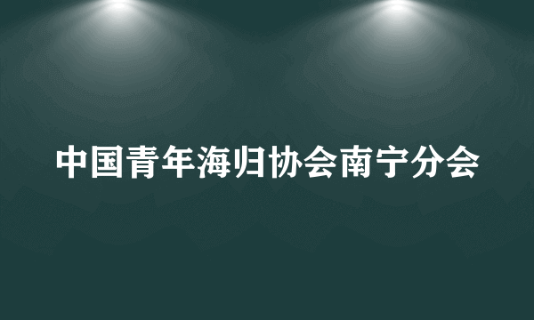 中国青年海归协会南宁分会