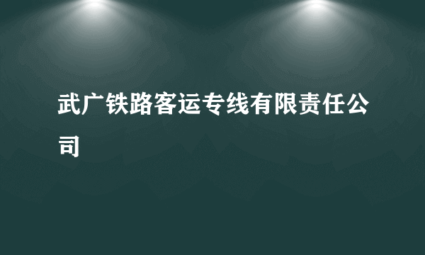 武广铁路客运专线有限责任公司