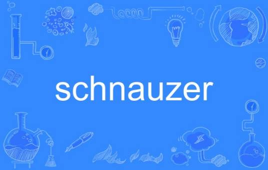 schnauzer