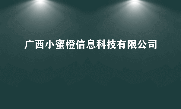 广西小蜜橙信息科技有限公司