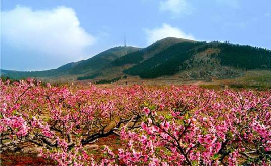 大洞山风景区