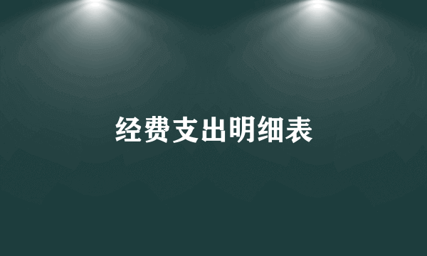 经费支出明细表