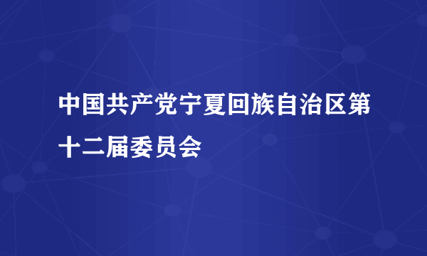 中国共产党宁夏回族自治区第十二届委员会